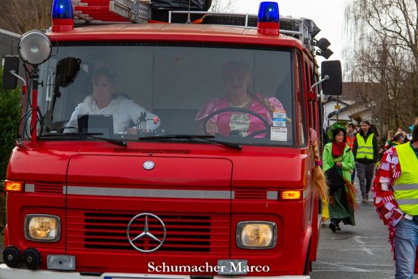 rosenmontagszug-buir-104AF14D4A0-BFE6-BF36-9458-10F886E0CB98.jpg