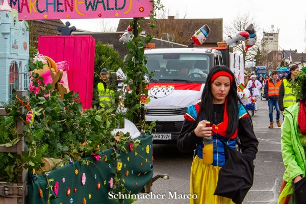 rosenmontagszug-buir-10770100C37-D582-65B4-62C4-90161636C28F.jpg